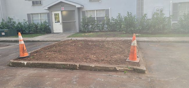 Two orange traffic cones mark a dirt patch next to a building with a door.