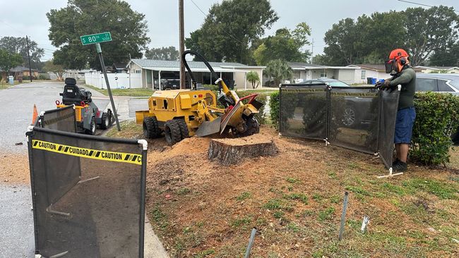 Stump grinder in action, operator wearing protective gear. Yellow machine, brown wood chips, fenced area.