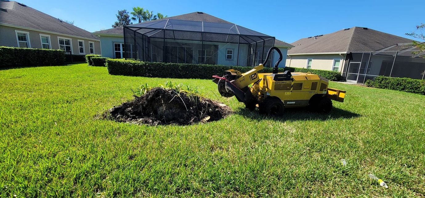 A stump grinder is cutting a tree stump in the grass in front of a house.