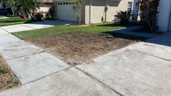A brown mulch bed surrounded by sidewalk and grass, in front of a beige house.