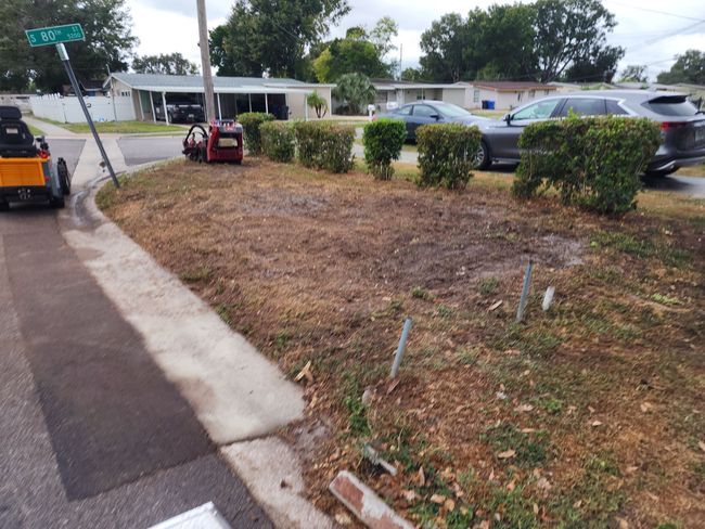 A street corner with a dry, brown planting bed; small hedges line the back; cars parked behind them.