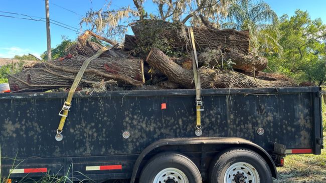 Black trailer filled with tree limbs, secured with yellow straps, outdoors.