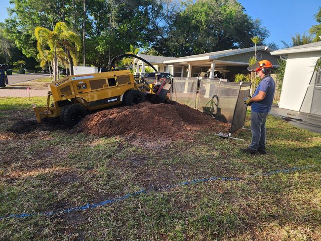A worker operating a stump grinder, creating a pile of wood chips on a lawn.