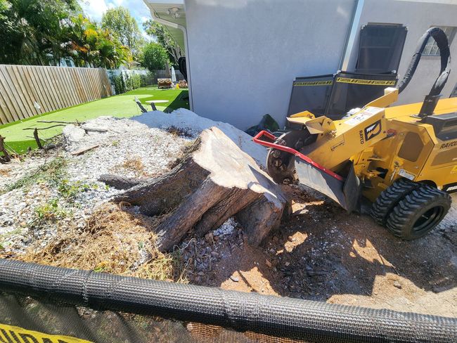 Yellow stump grinder removing a tree stump next to a white building.