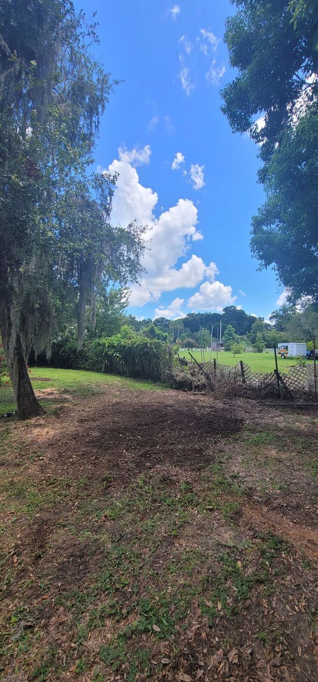 Blue sky with clouds over a clearing bordered by trees.