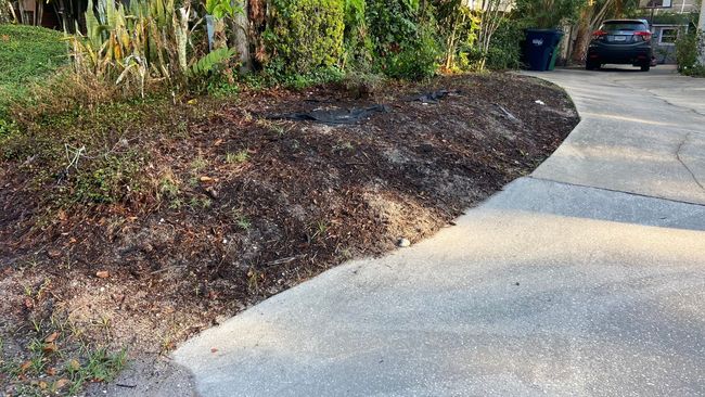 Driveway curving past a mulch-covered flowerbed with greenery, a blue trash can, and a car parked in the background.