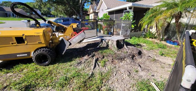 A stump grinder removing a tree stump from a yard in front of a house.