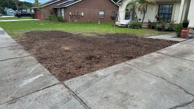 Mulched yard bed between a sidewalk and a brown house.