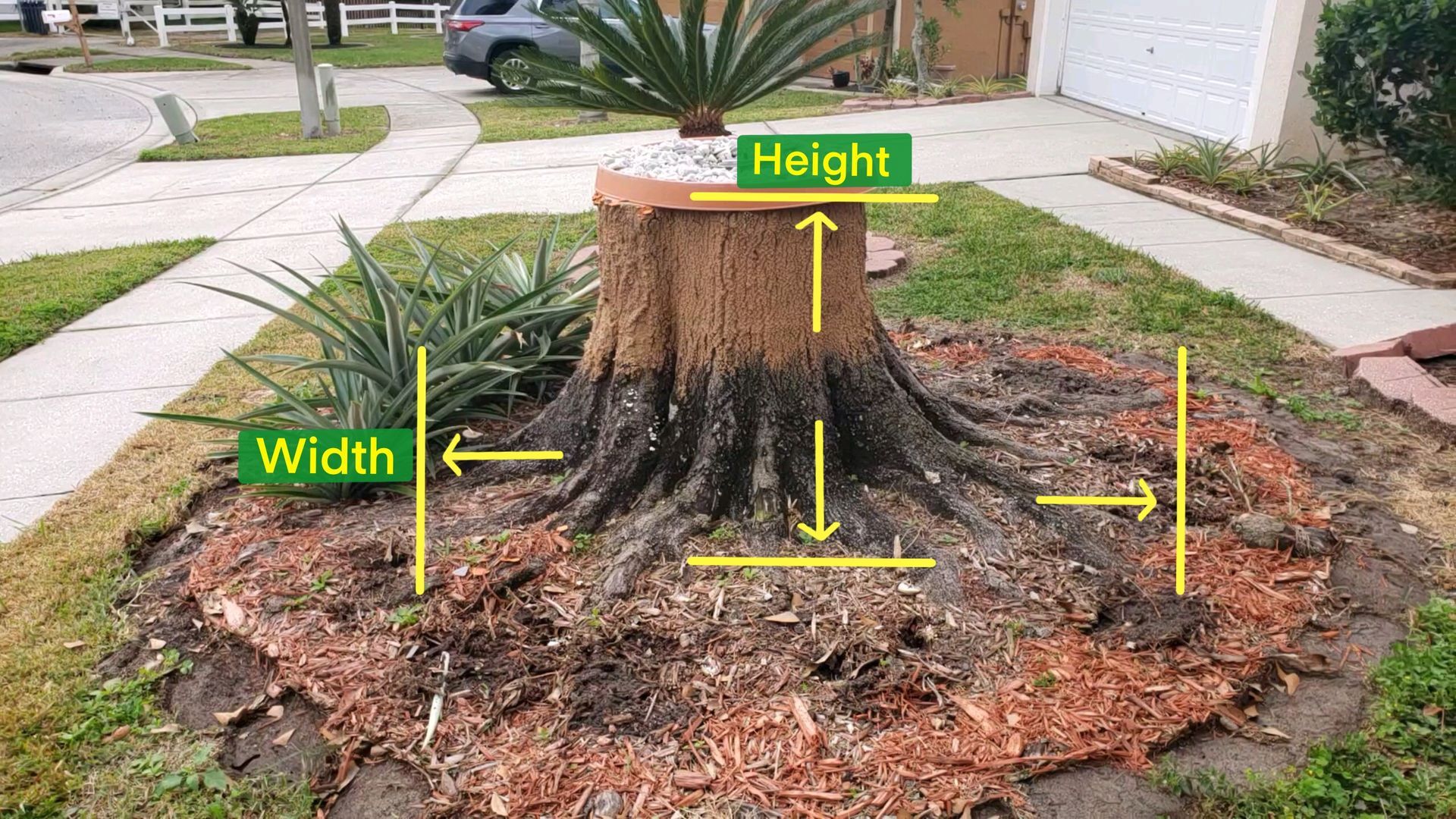 A tree stump is sitting in the middle of a yard next to a sidewalk.