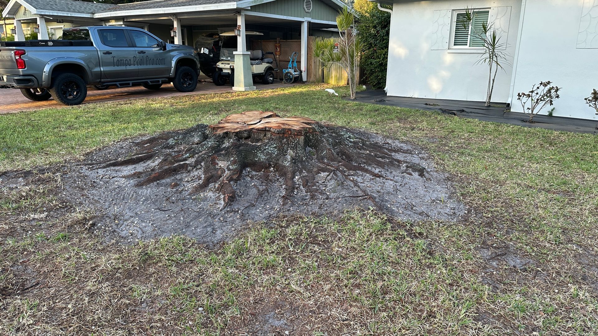 A large tree stump in a yard.
