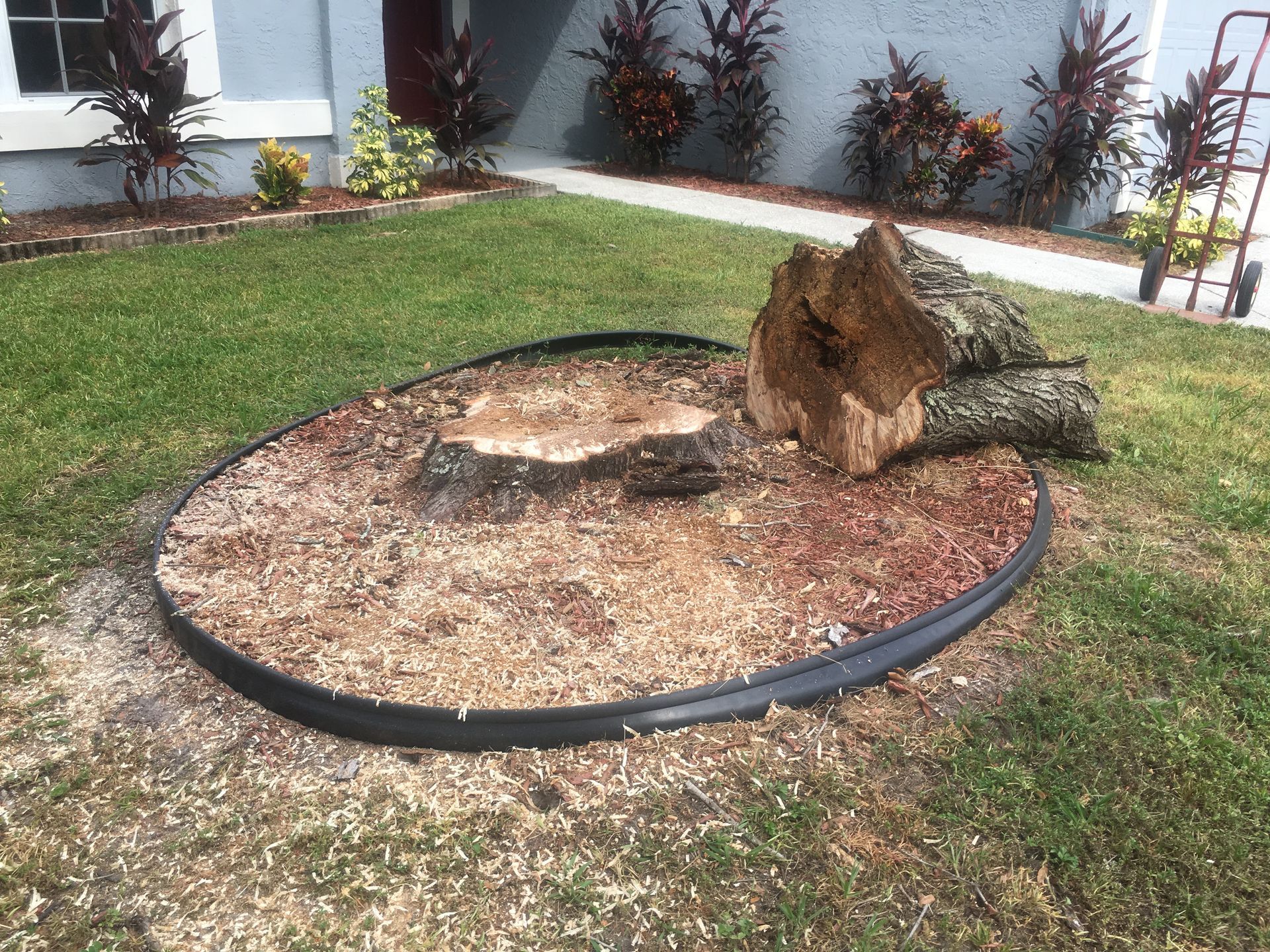 A cut tree stump is sitting in the middle of a circle in the grass.
