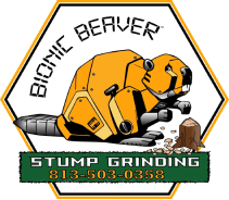 A logo for a company called bionic beaver stump grinding