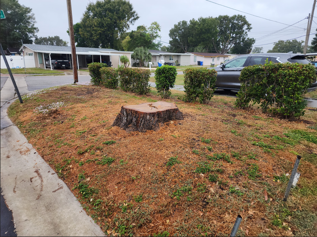 Stump surrounded by mulch on a corner lot, with trimmed hedges and a few houses in the background.