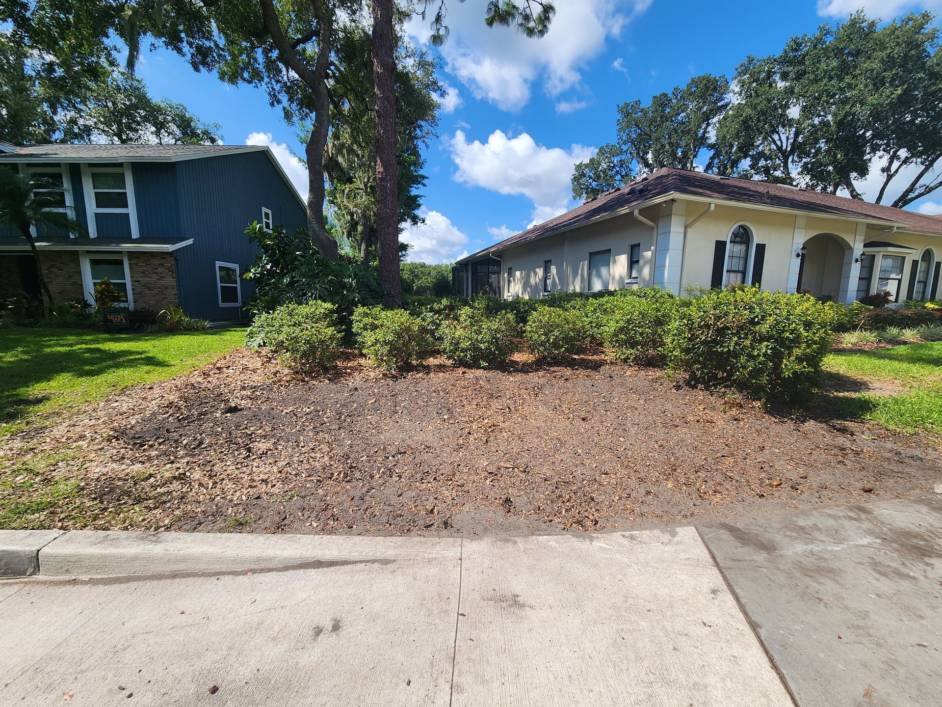 A house with a lot of mulch in front of it after a tree stump was ground up.