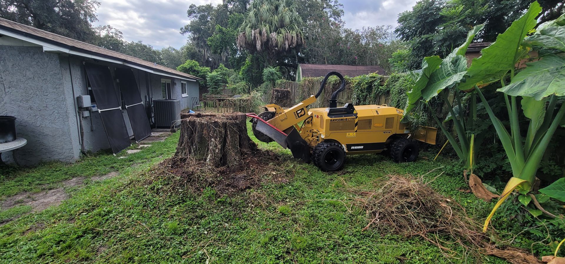 A yellow stump grinder is cutting a tree stump in a yard.