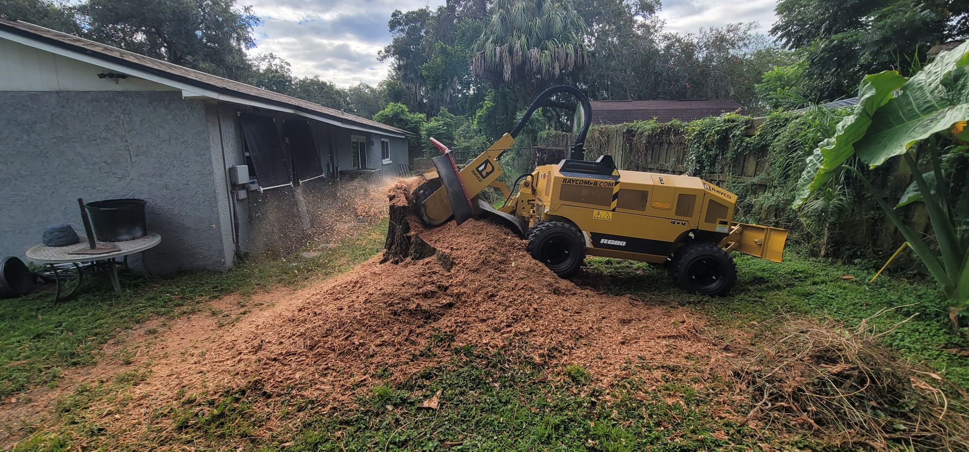 A yellow stump grinder is stump grinding a tree in a backyard.