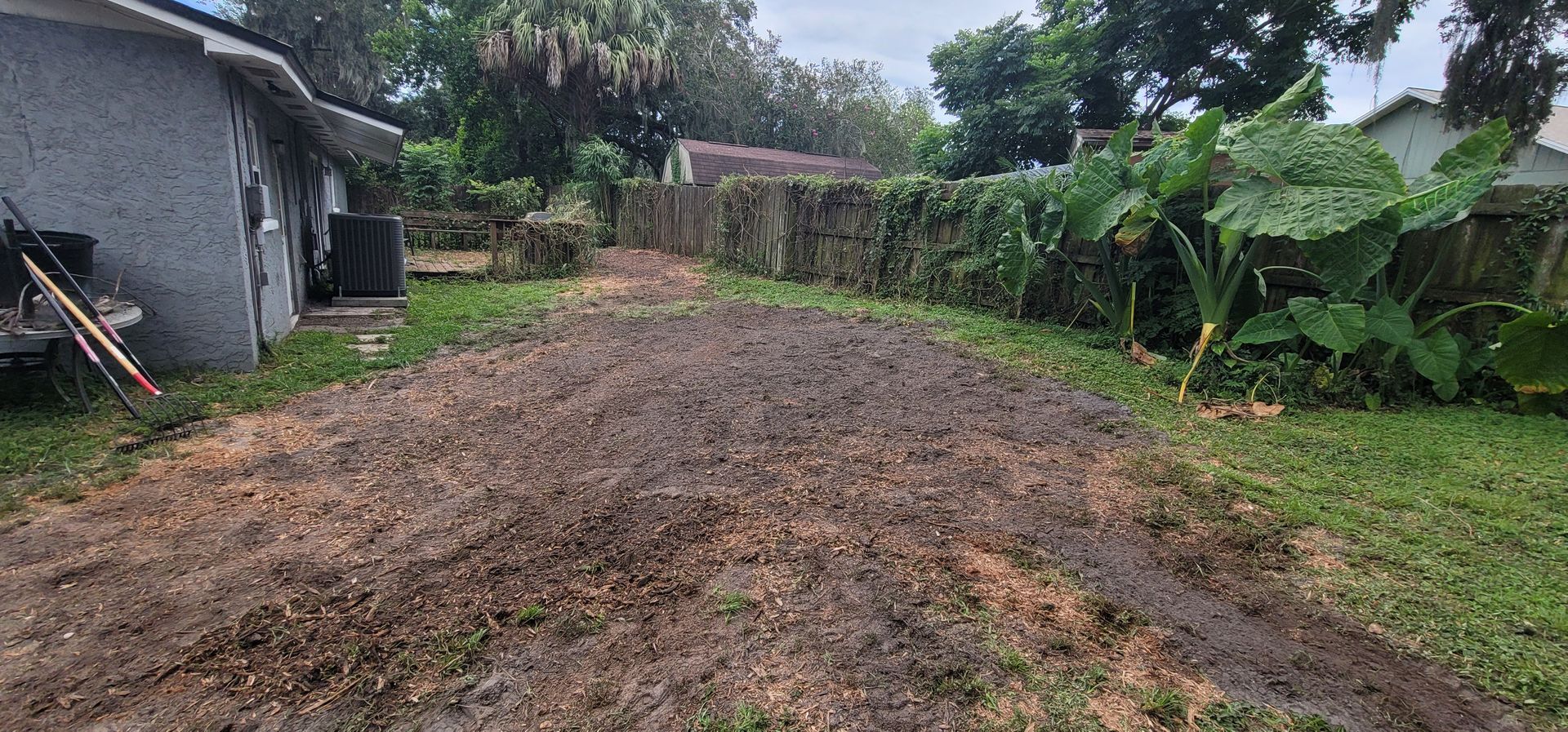 A backyard with stump grindings on the ground.
