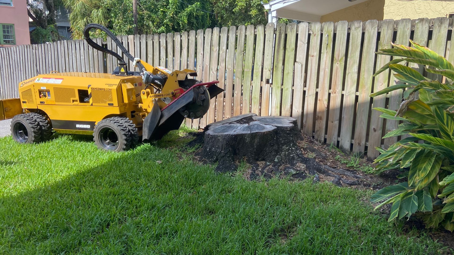 Residential Stump Grinding | Brandon, FL | Bionic Beaver Stump Grinding