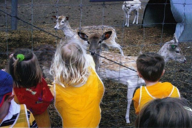 Children watching deer behind a wire fence in an outdoor enclosure