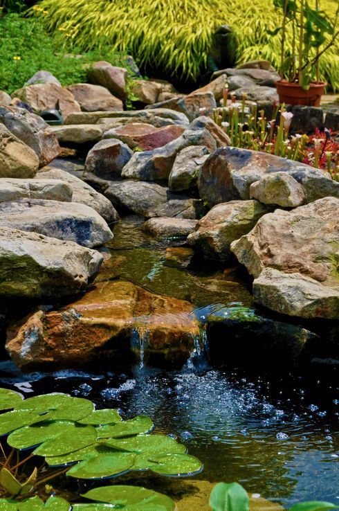 Rock garden stream with rocks, green lily pads, and clear water in sunlight