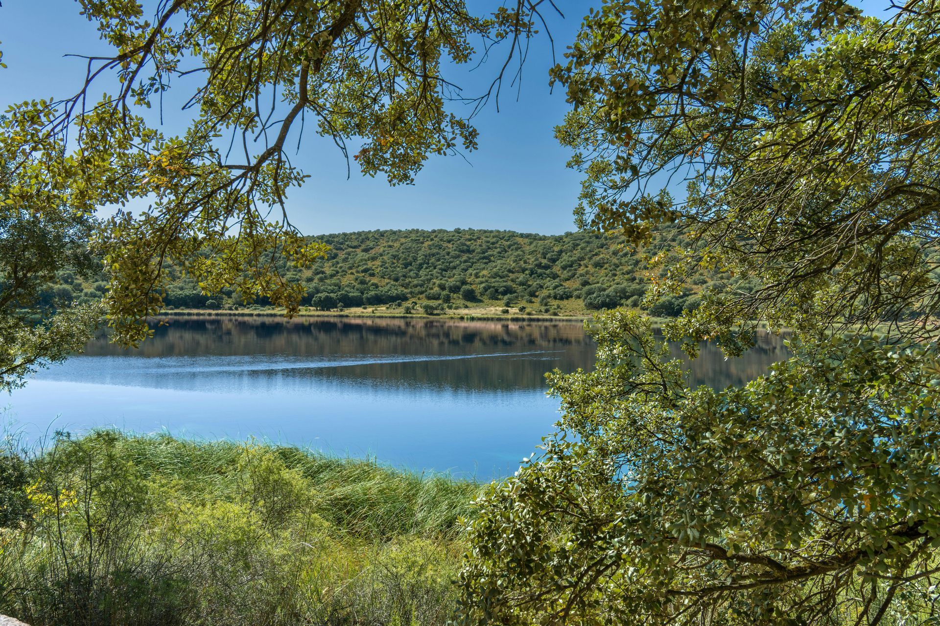 Un tranquilo lago azul enmarcado por árboles verdes bajo un cielo despejado.