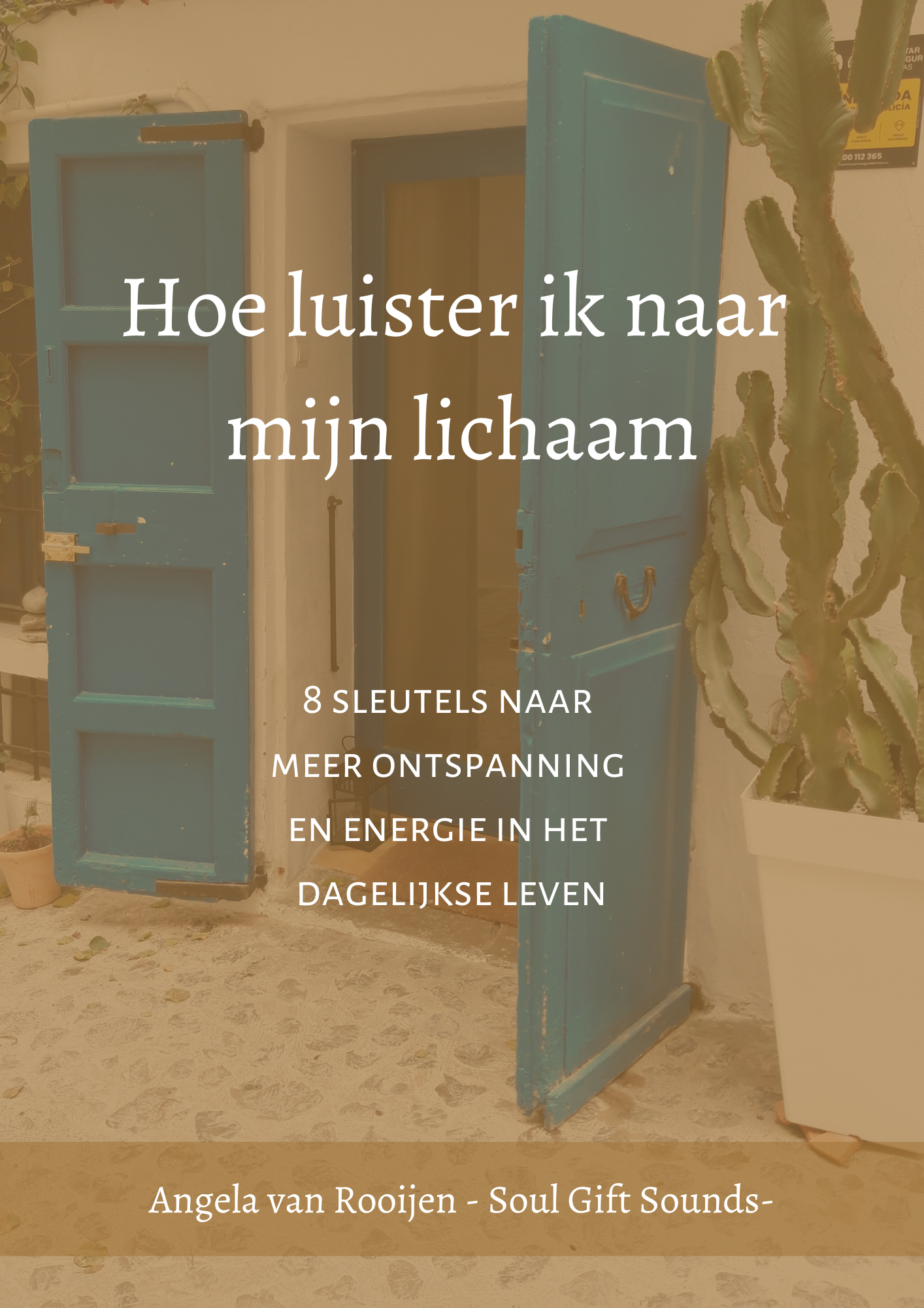 Boekcover: Blauwe deur, titel 