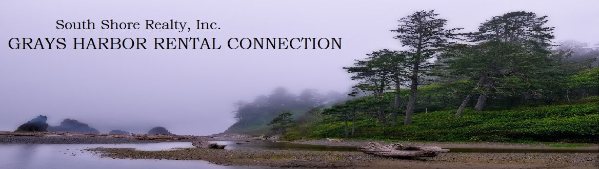 south shore realty
