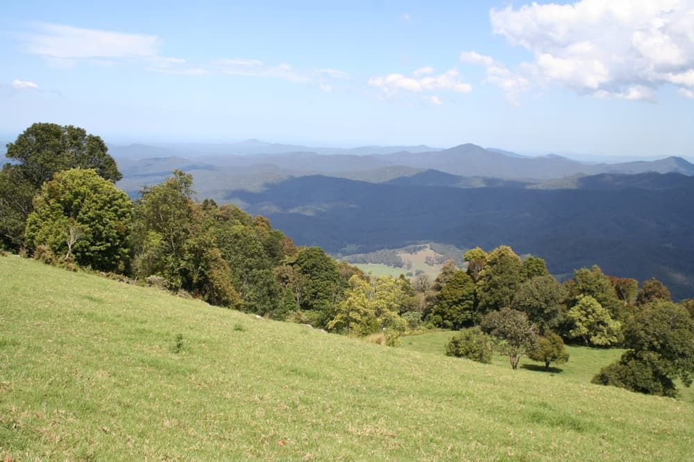 Grassy Hillside With Trees and Mountains — Sape Industries in Hinchinbrook, QLD