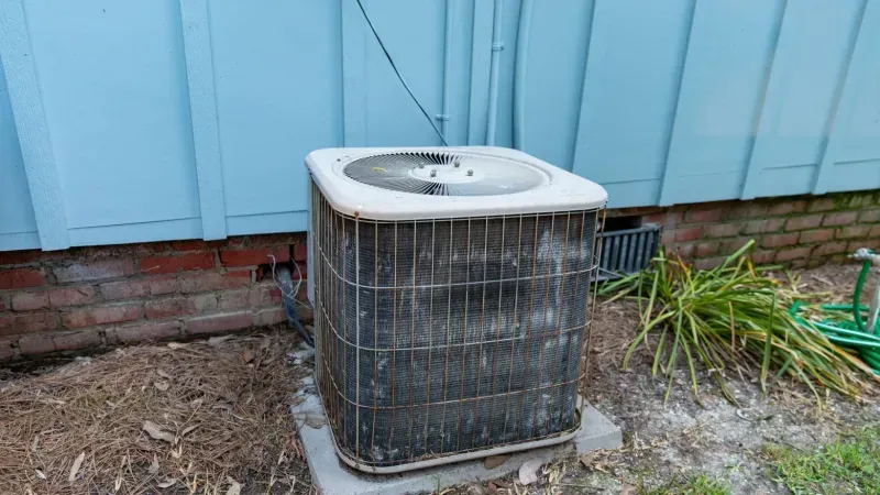 Outdoor air conditioning unit next to a light blue house, surrounded by mulch and plants.