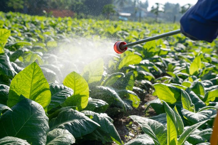 prodotti per l'agricoltura a benevento