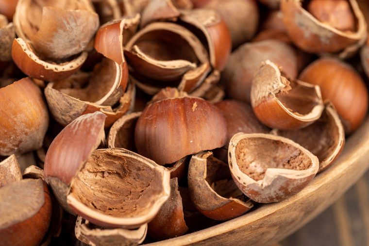gusci di nocciola interi a benevento
