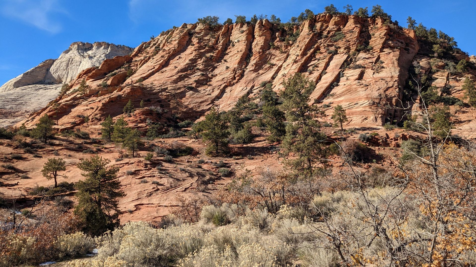 Zion National Park, UT