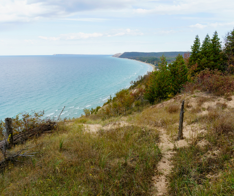 A path leading to a beach with a view of the ocean.