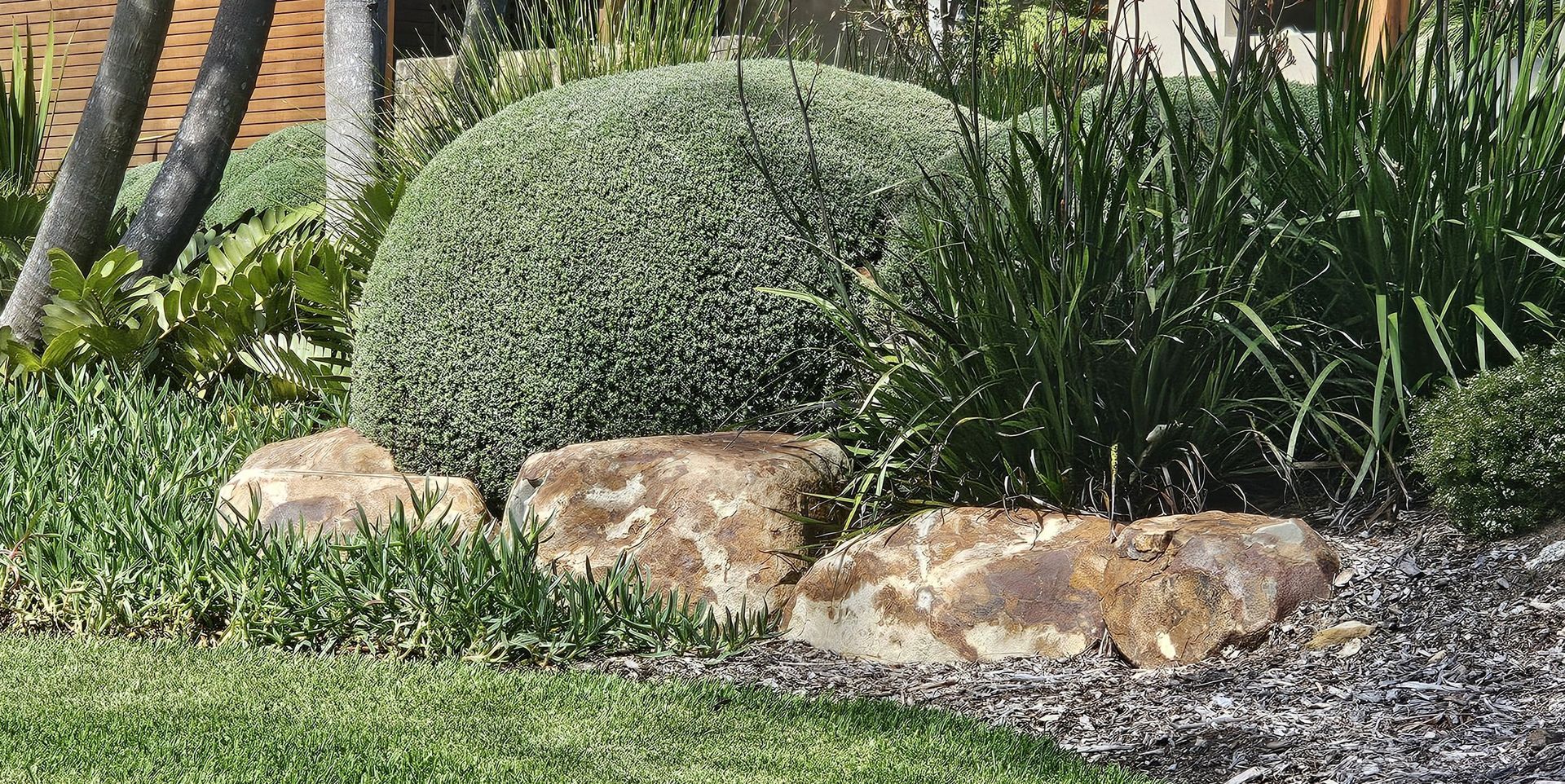 Landscaped garden with large, rounded bush, large rocks, and tall green grass.