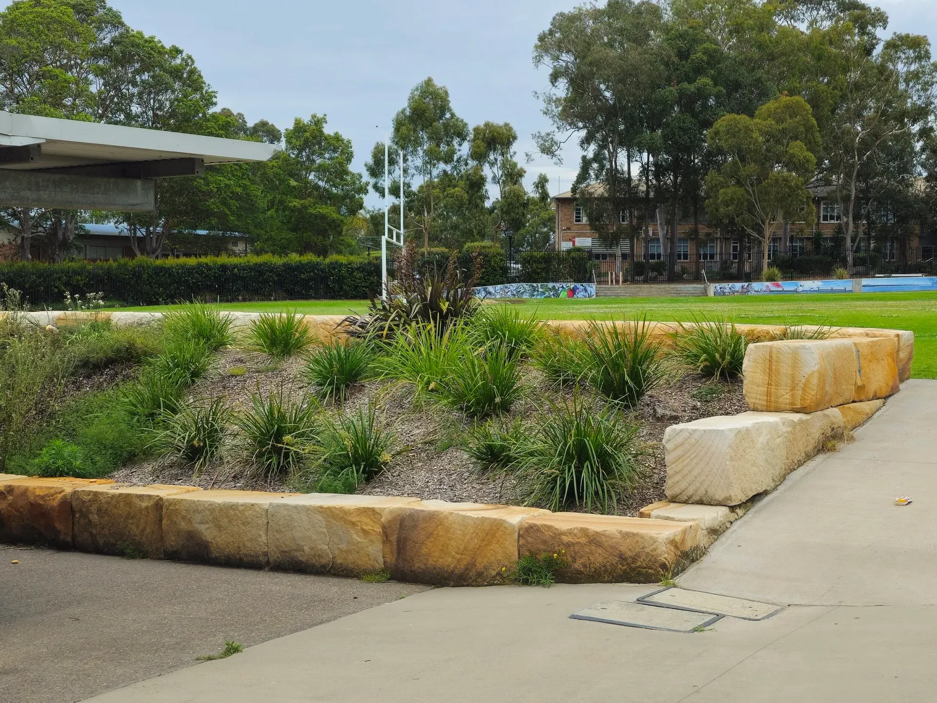 Stone-edged garden bed with green plants in a park setting, trees, and a building in the background.