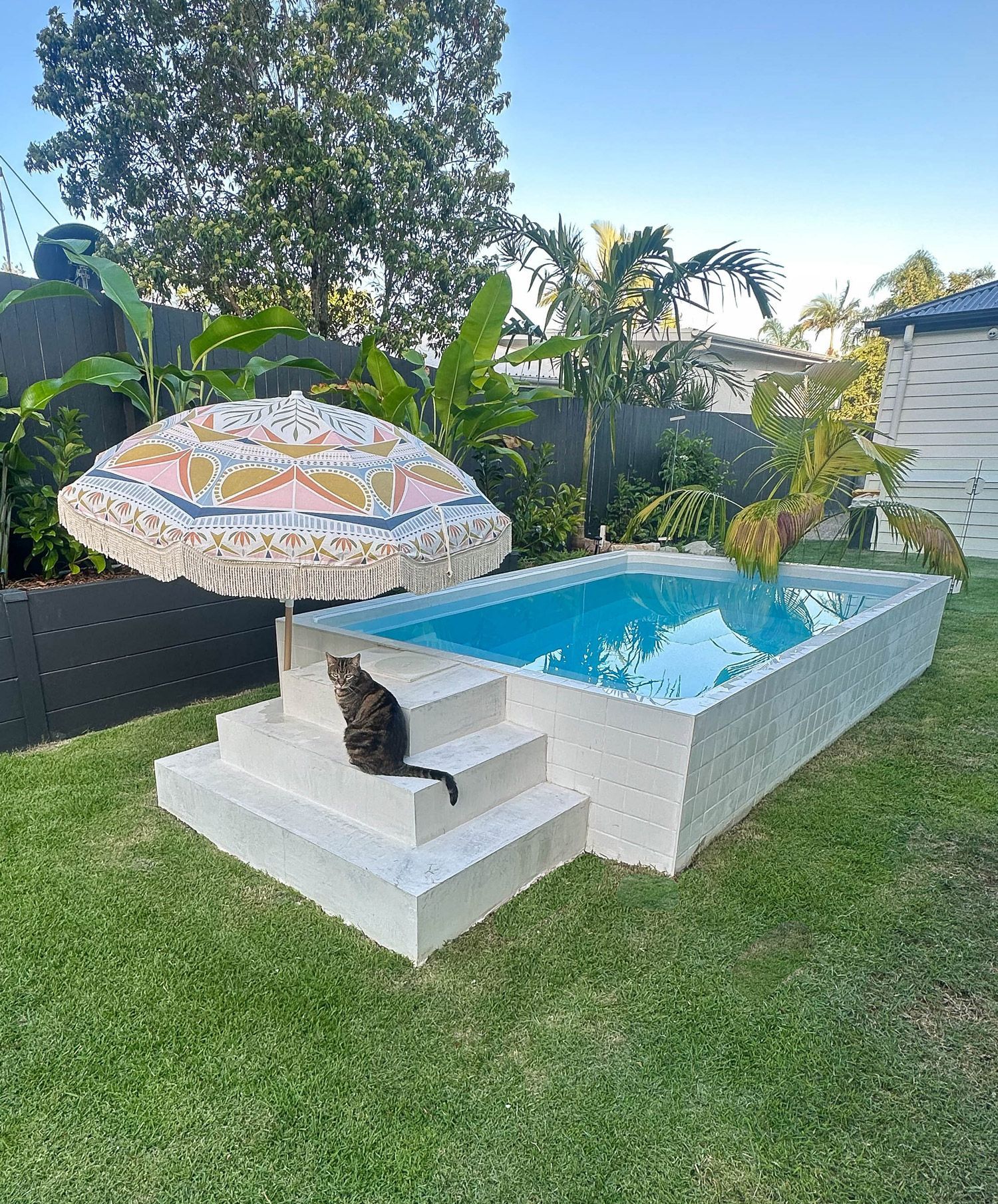 Cat sits on steps next to a small, white pool in a backyard. A patterned parasol shades the water, surrounded by green plant