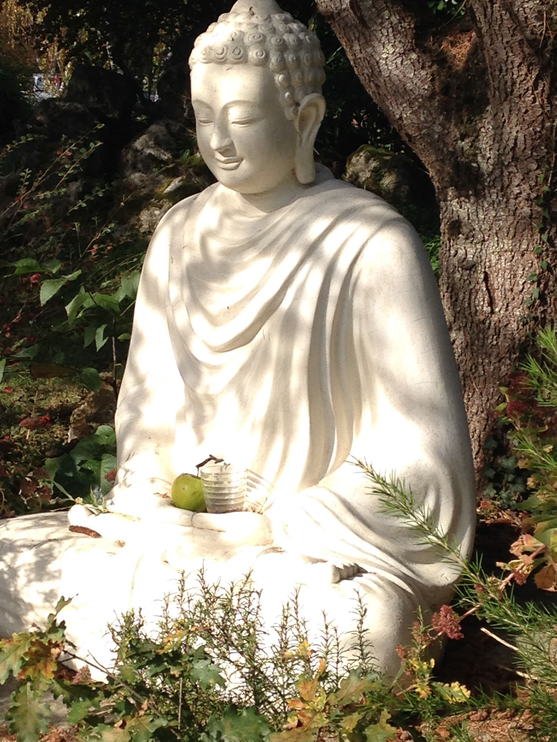 Community Offerings