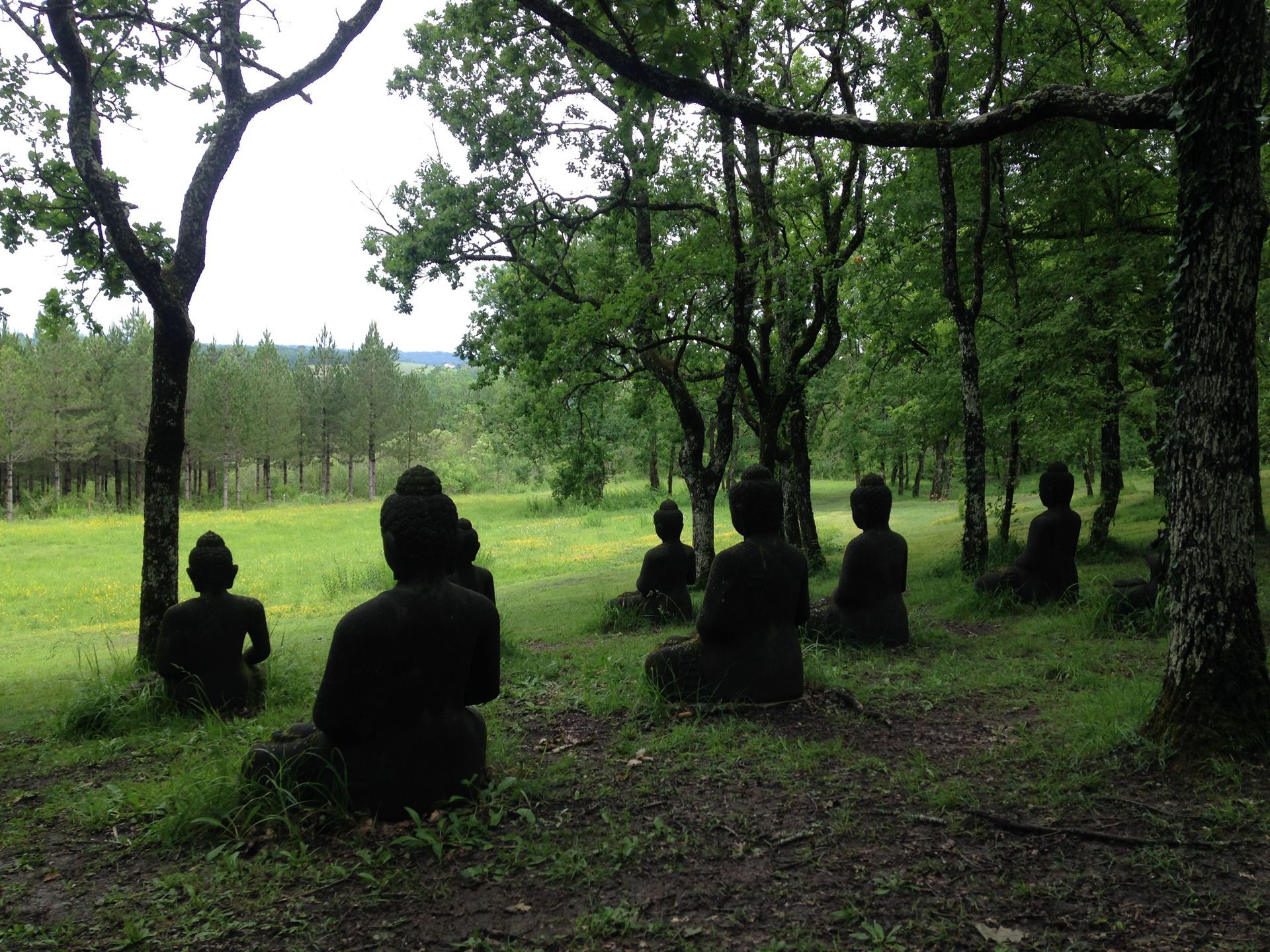 Community Offerings