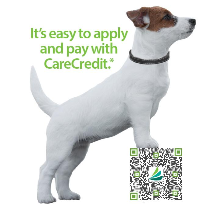 Outpatient Veterinary Clinic