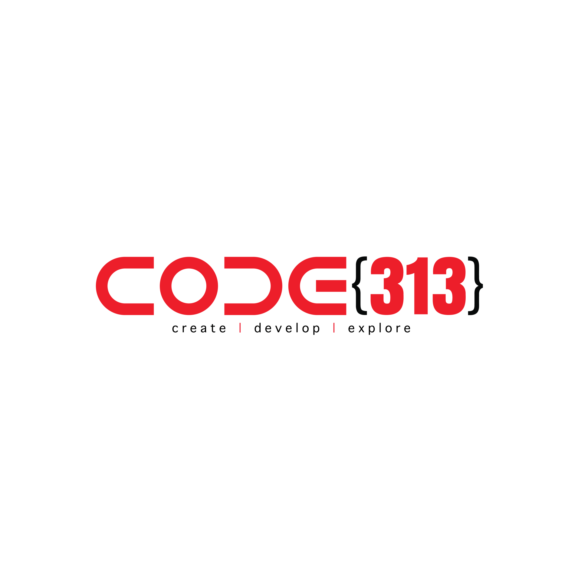 CODE313, Inc. logo