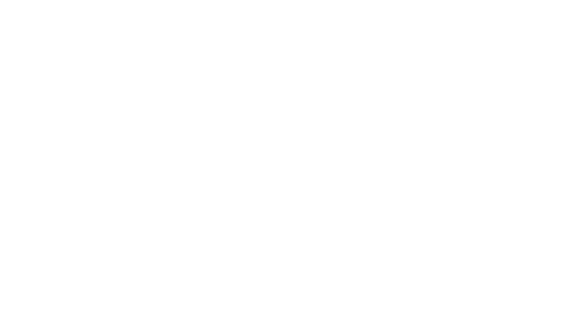 Peschiera in battello