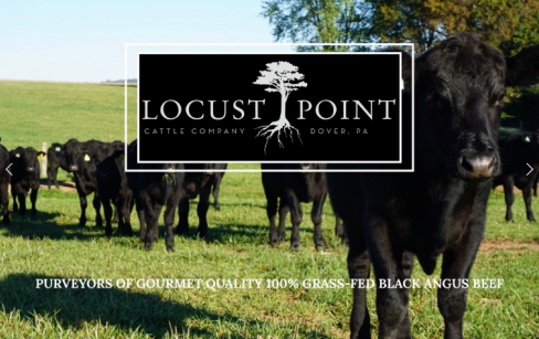 Locust Point logo