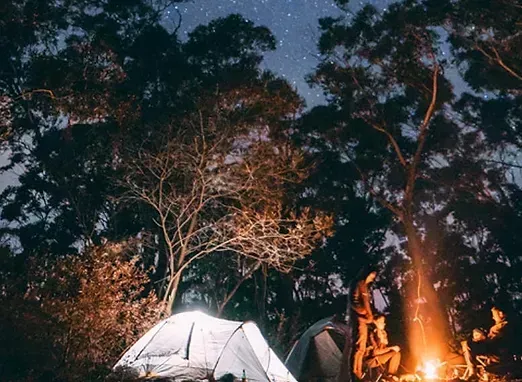People sitting by a campfire at night next to a white tent in a forest under a starry sky.