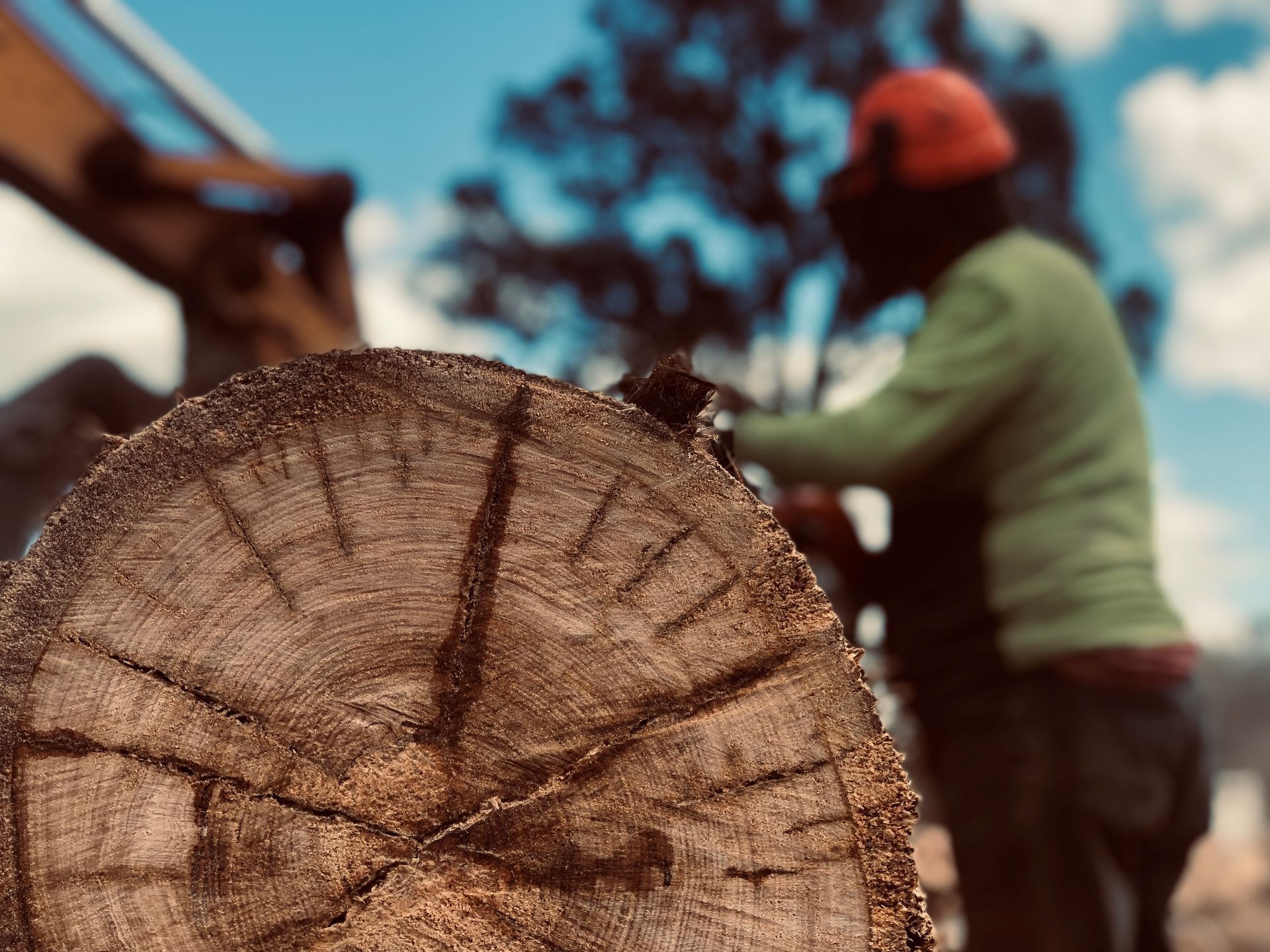 firewood delivery