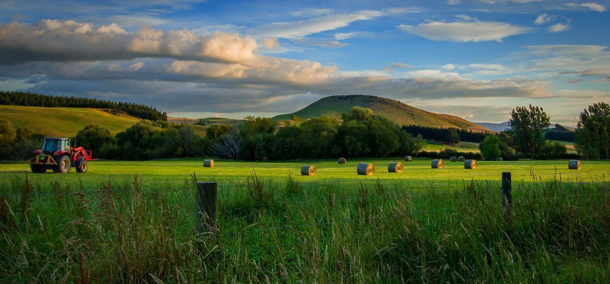 A red tractor in a sunlit grassy field with round hay bales, framed by trees and hills under a cloudy blue sky.