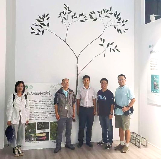 Tallest begonia: Begonia giganticaulis sets world record