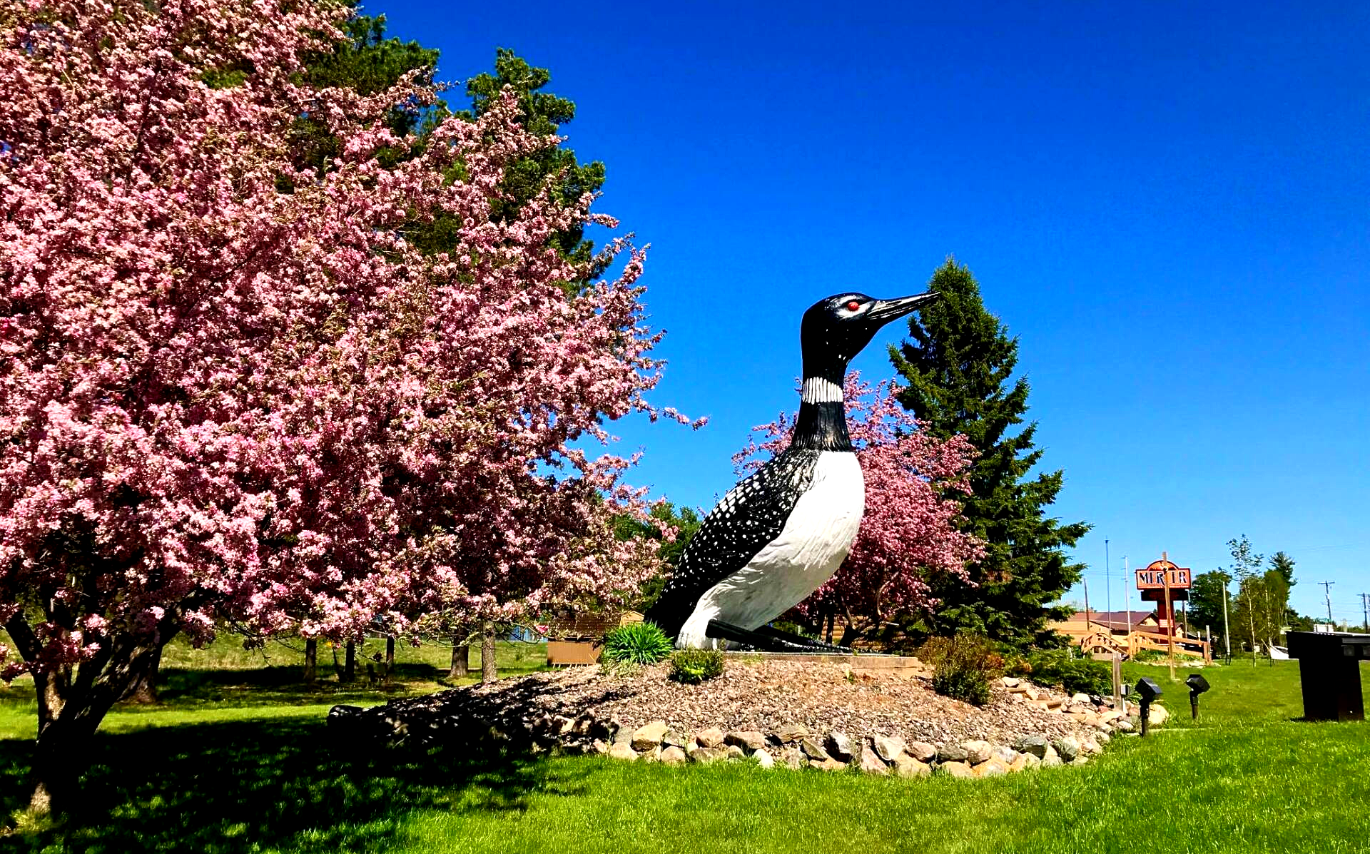 World's Largest Talking Loon: world record set in Mercer, Wisconsin