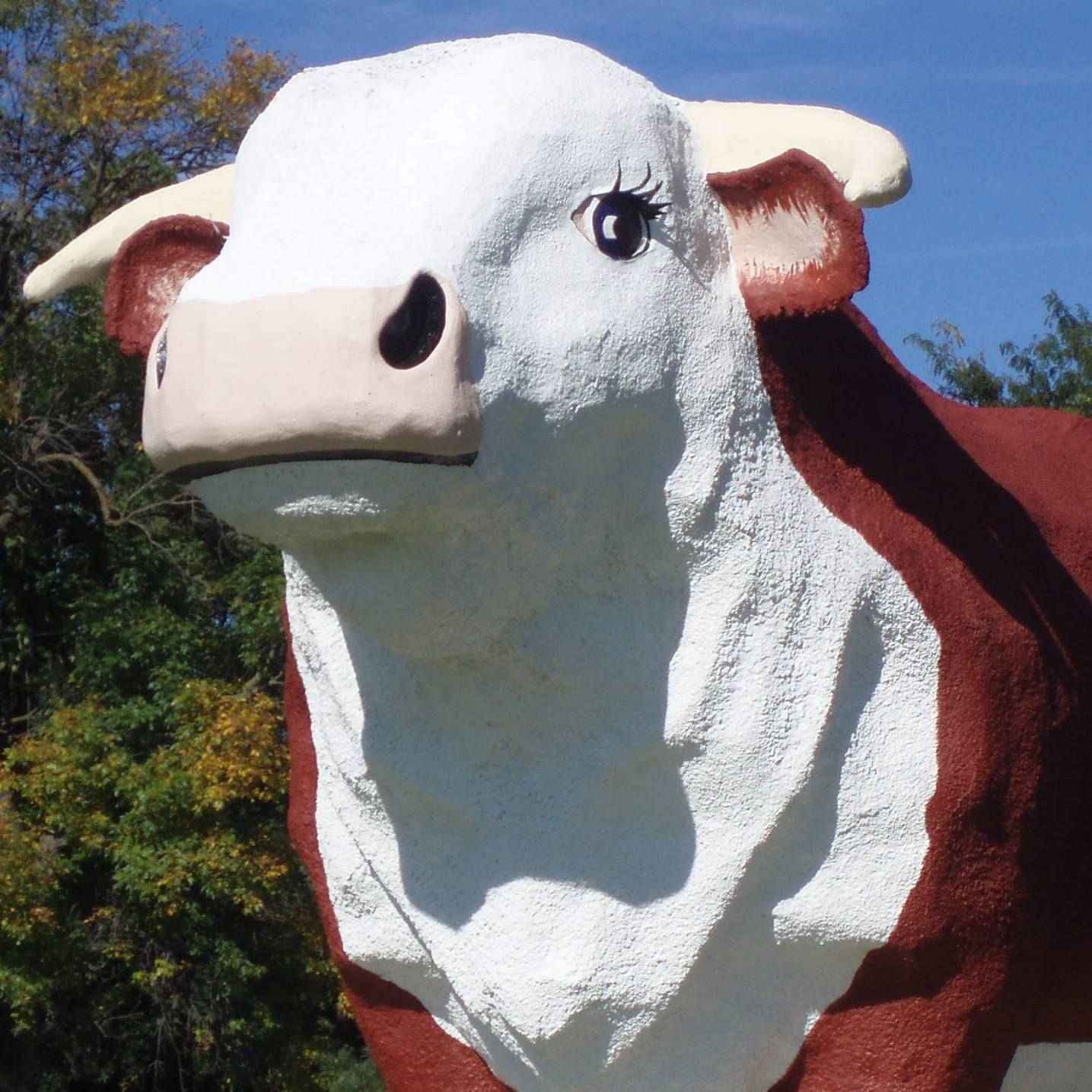 World’s Largest Bull Sculpture world record in Audubon, Iowa