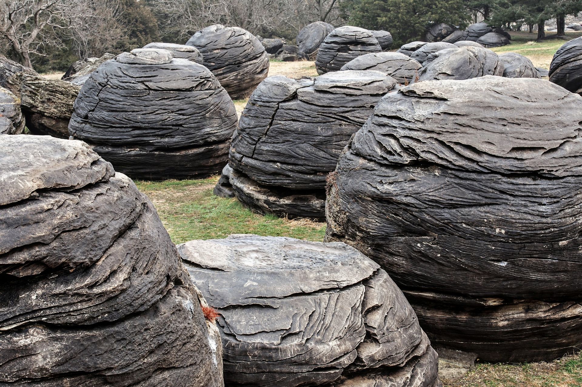 World’s Largest Cannonball Concretions world record in Rock City, Kansas