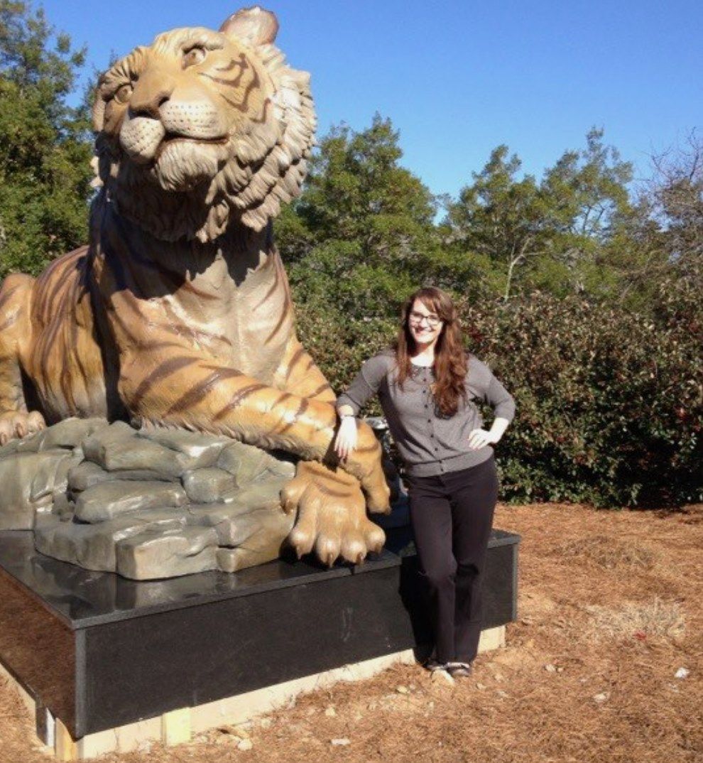 World’s Largest Golden Tiger Sculpture world record in Gainesville,